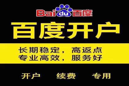 百度搜索推广实战技巧：成功案例背后的优化策略